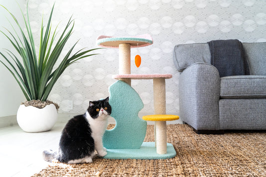 Dreamland Pastel Cat Scratching Post