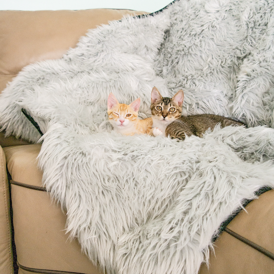 CatNap™ Anti-Scratch & Waterproof Throw Blanket - Grey