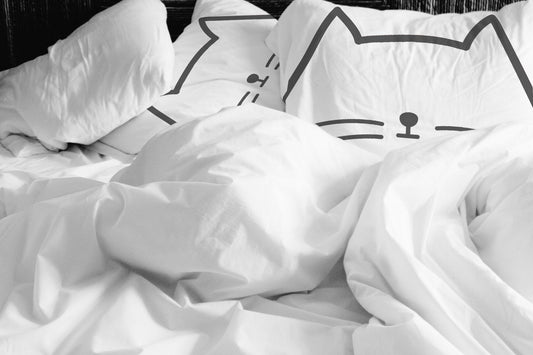 Milton the Cat Pillow Sham