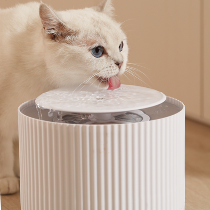Automatic Clear Cat Water Fountain (2L)
