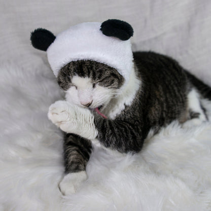Panda Bear Hat Cat Costume