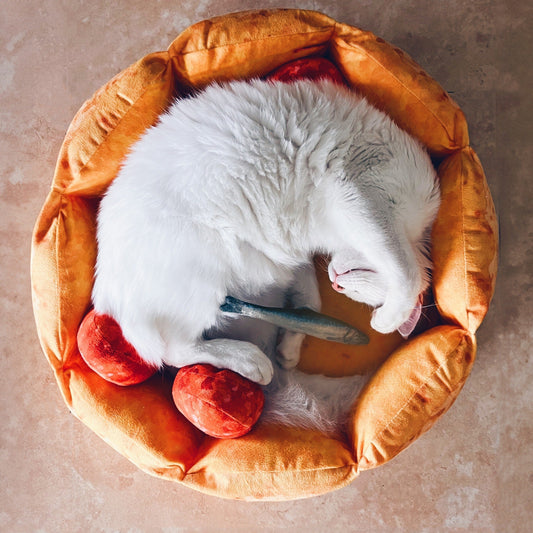 Cute Pizza Cat Bed